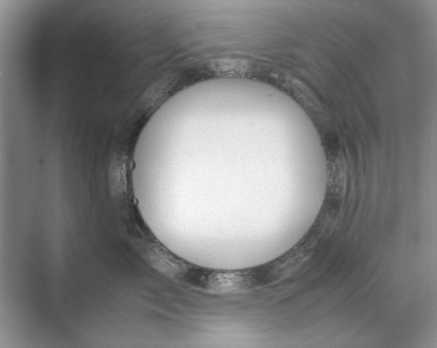 X0000070210717200606091624