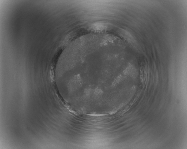 X0000070210718200606091624