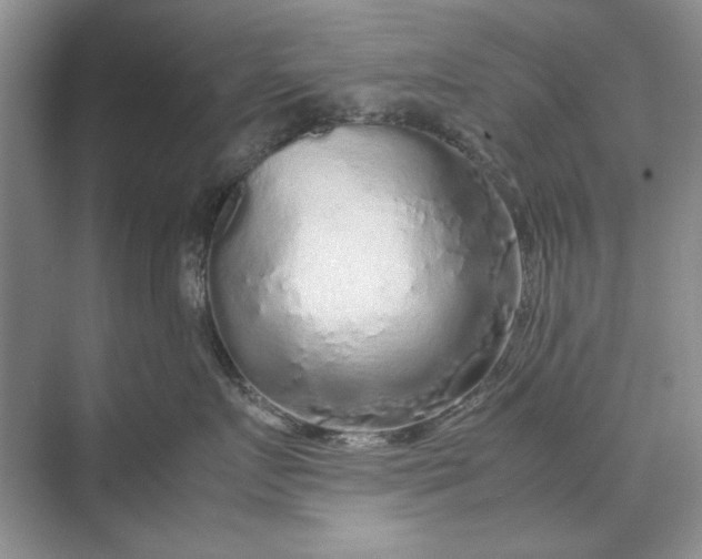 X0000070210719200606091624