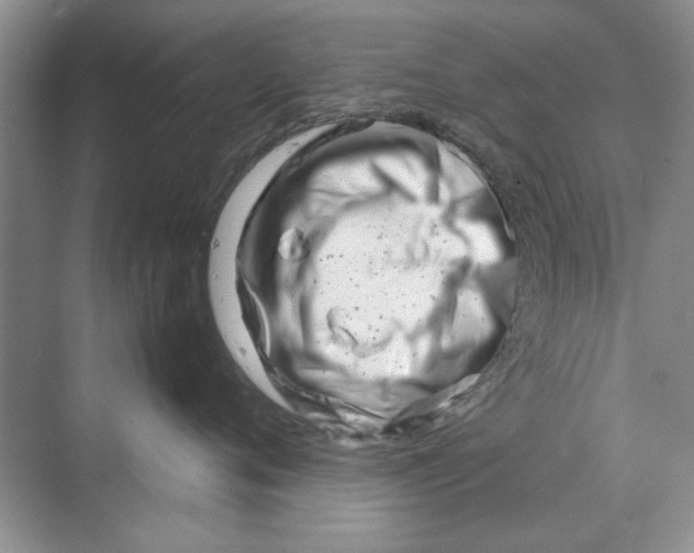 X0000070210720200606091624