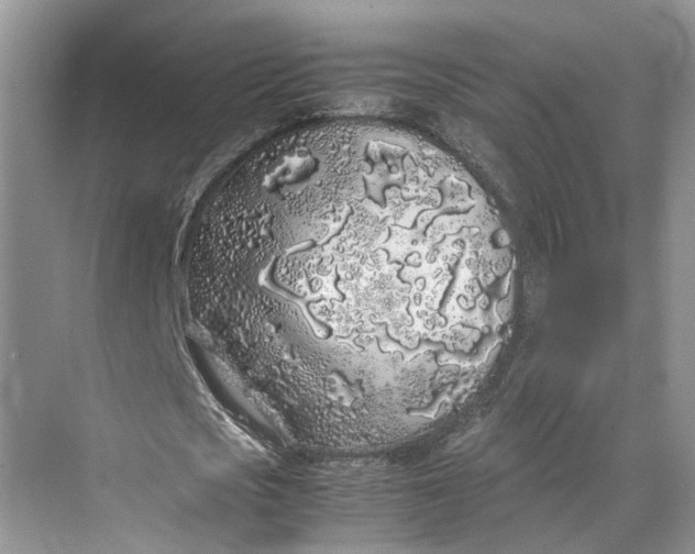 X0000070210721200606091623