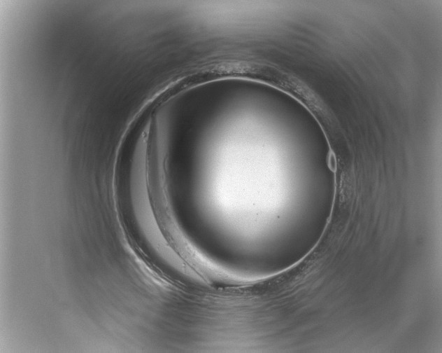 X0000070210722200606091623