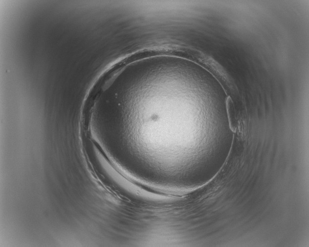 X0000070210724200606091623