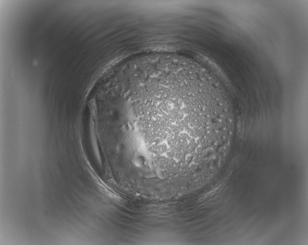 X0000070210725200606091623