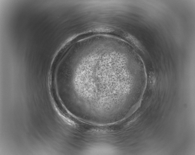 X0000070210726200606091623