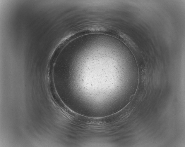 X0000070210727200606091623