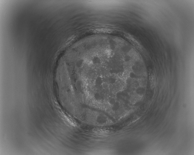 X0000070210729200606091623