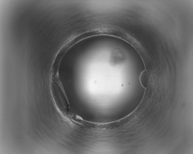 X0000070210730200606091624