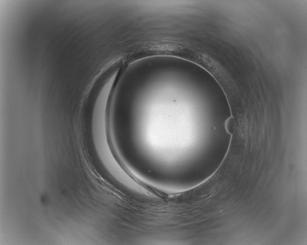 X0000070210731200606091624