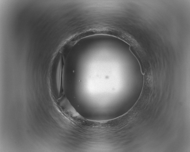 X0000070210732200606091624