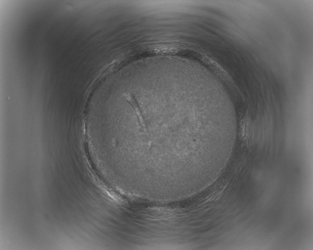 X0000070210733200606091624