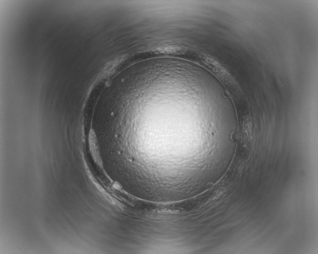 X0000070210734200606091624