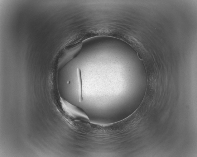 X0000070210735200606091624