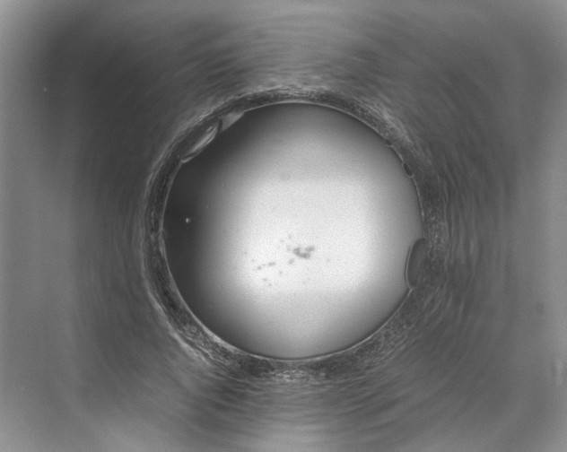 X0000070210736200606091624