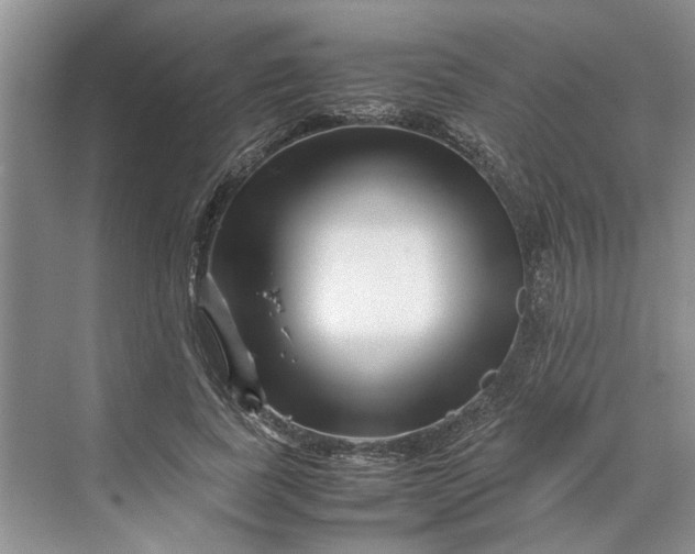 X0000070210739200606091624