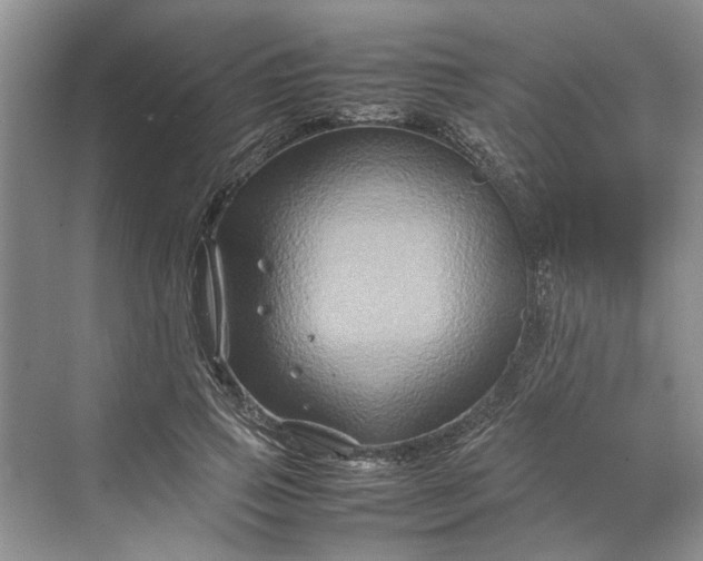 X0000070210741200606091624