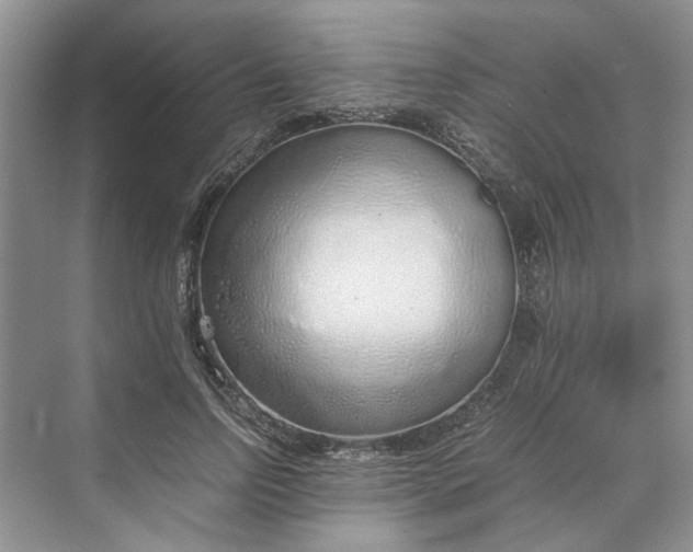 X0000070210742200606091624