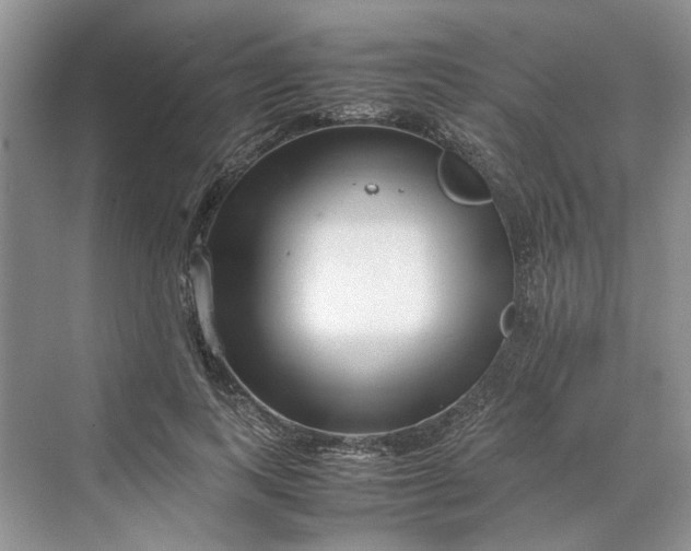 X0000070210743200606091624