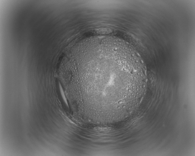 X0000070210745200606091624