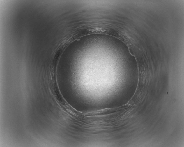 X0000070210747200606091624