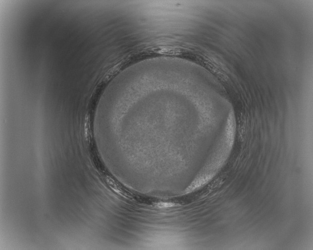 X0000070210748200606091624