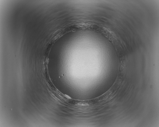 X0000070210749200606091624