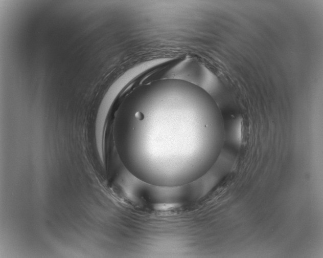 X0000070210750200606091624