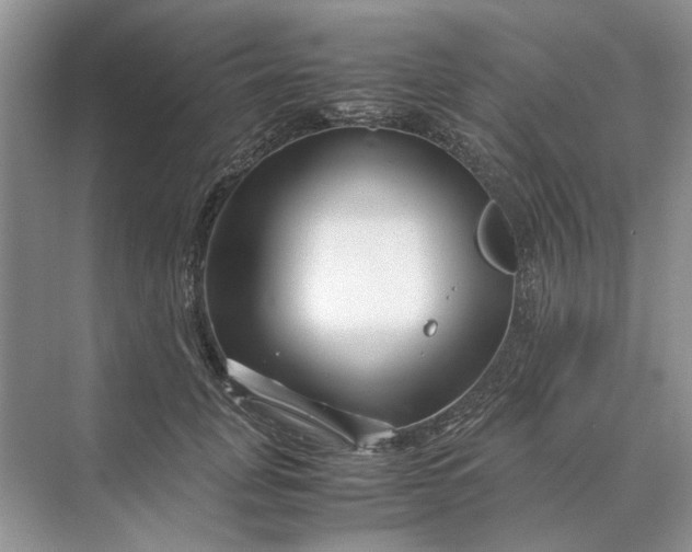 X0000070210751200606091624