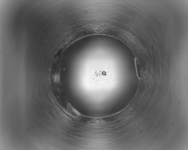 X0000070210752200606091624