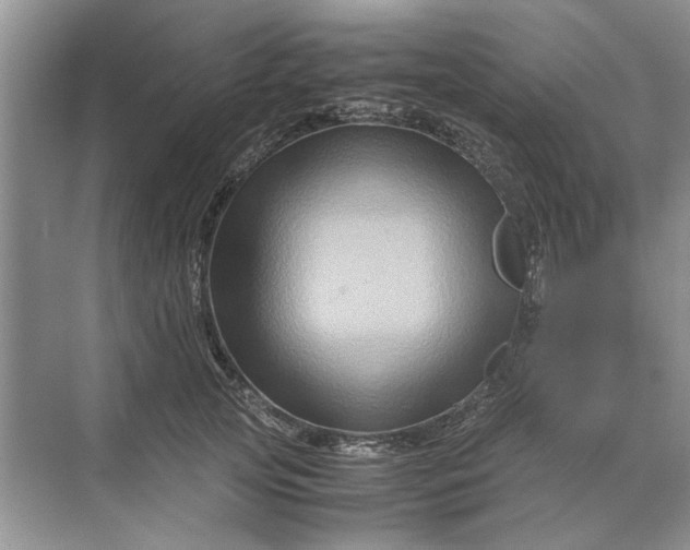 X0000070210753200606091624