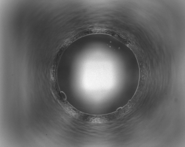 X0000070210755200606091624