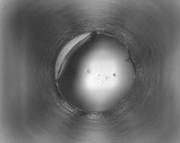 X0000070210756200606091624