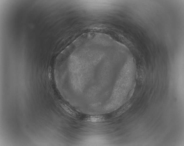 X0000070210758200606091624