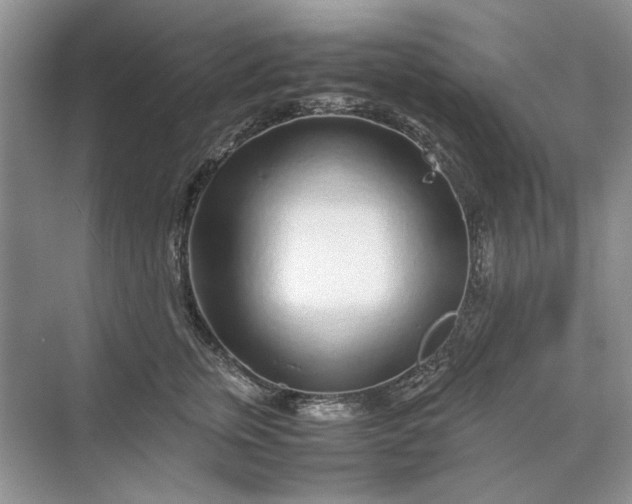 X0000070210759200606091624