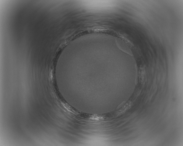 X0000070210760200606091624