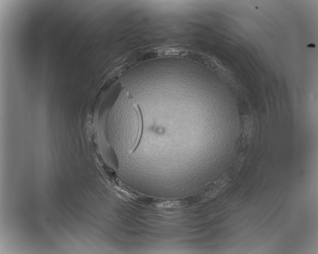 X0000070210761200606091624