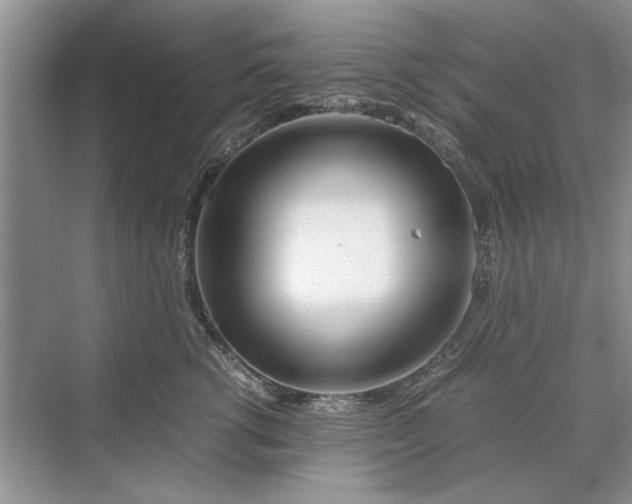 X0000070210762200606091624