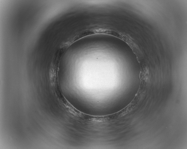 X0000070210763200606091624