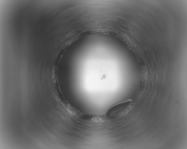 X0000070210764200606091624