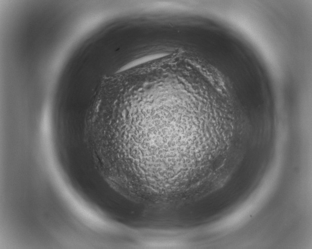 X0000070210765200606091624