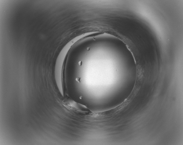 X0000070210766200606091624