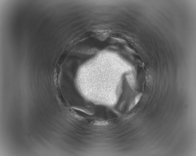 X0000070210767200606091624