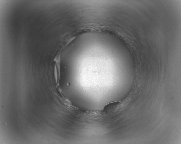 X0000070210768200606091624