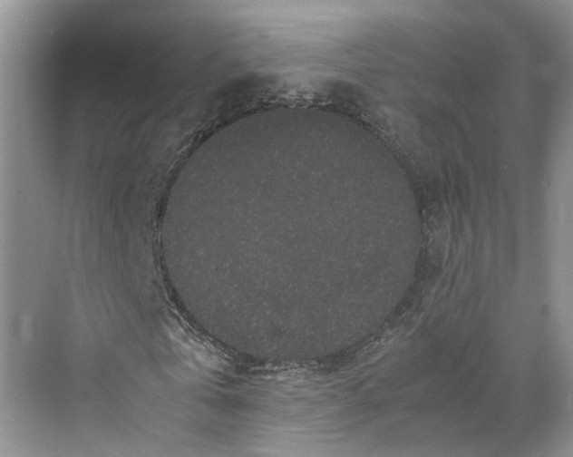 X0000070210769200606091623