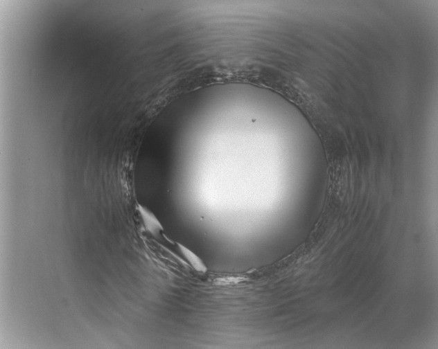 X0000070210770200606091623