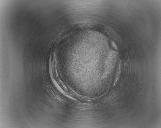 X0000070210772200606091623