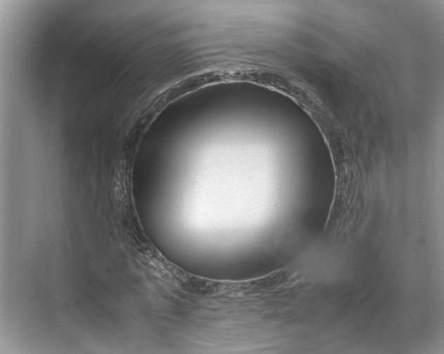 X0000070210773200606091623