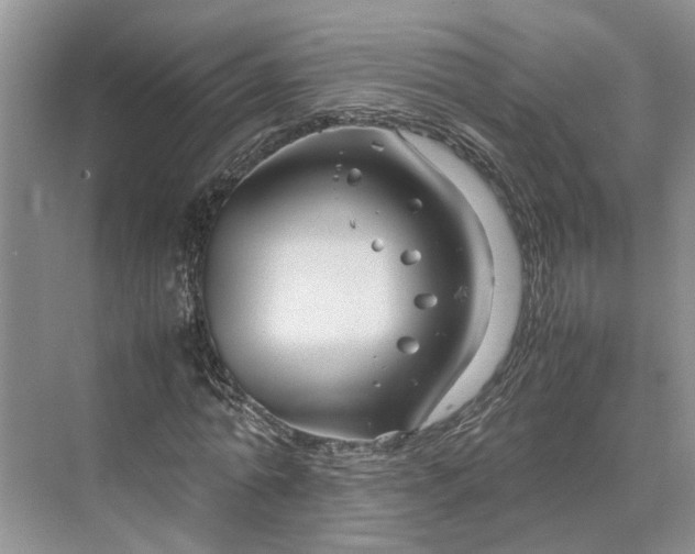 X0000070210774200606091623