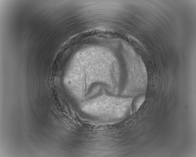 X0000070210776200606091623