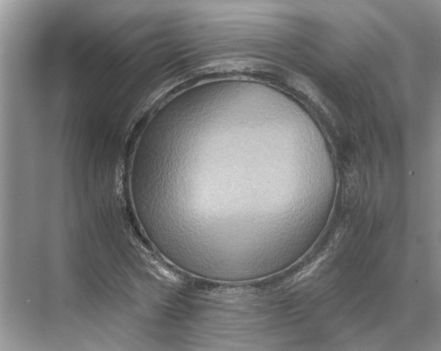 X0000070210778200606091623